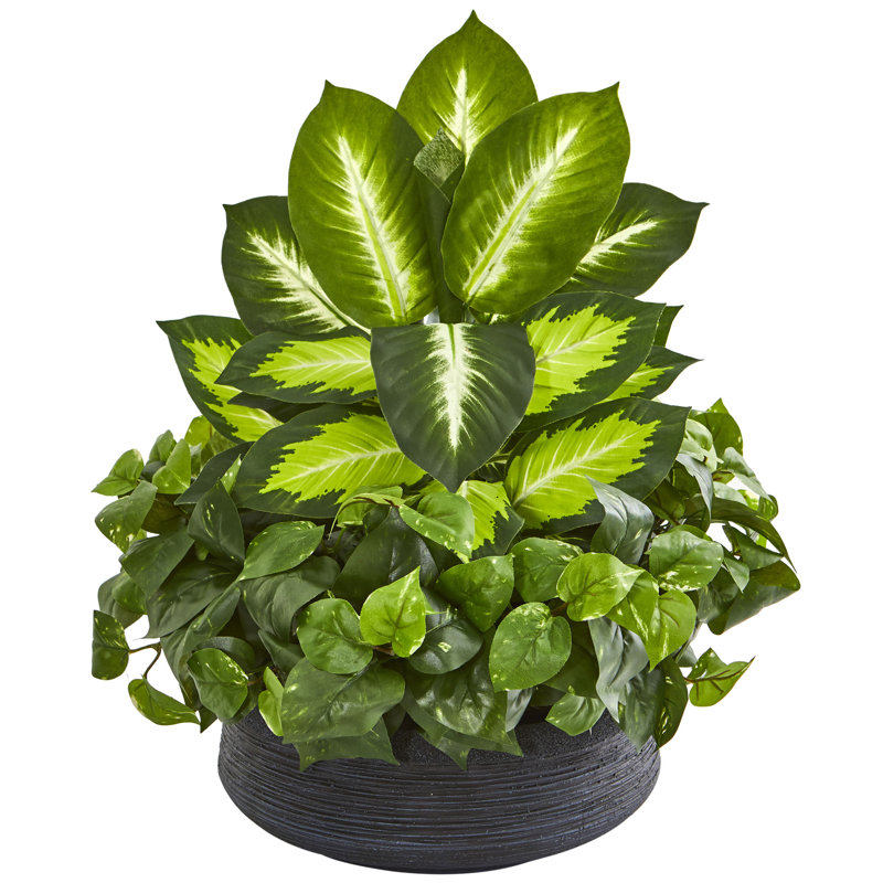 Wrought Studio 11.5" Artificial Foliage Plant in Pot Wayfair